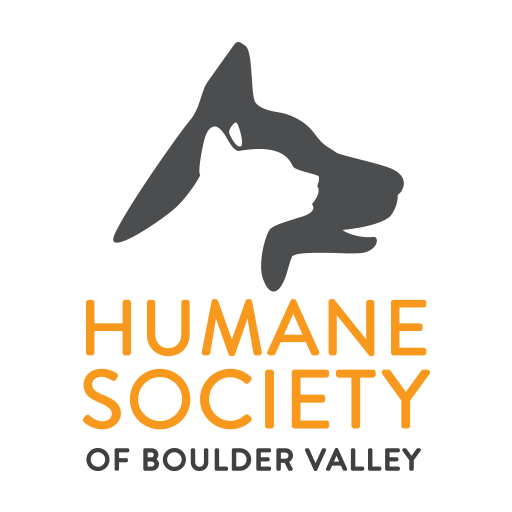 Our Chief Clinic Veterinarian, Jennifer Bolser, DVM, cVMA has tips on how you can help protect your pets given the voluntary recall of Jif® Peanut Butter products due to the potential salmonella contamination