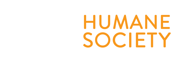 Cats Humane Society Of Boulder Valley