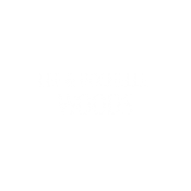woods