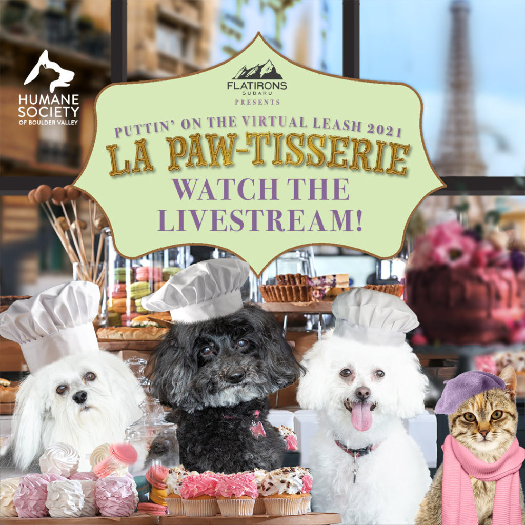 Thank you for making Puttin' On The Leash: La Paw-tisserie a lifesaving and life-changing success for the animals and people relying on HSBV! Watch the live stream here!