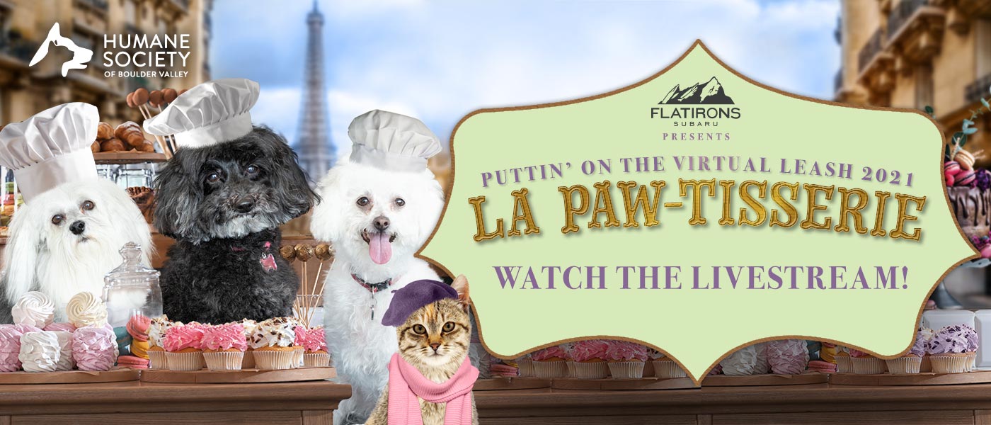 Virtual leash best sale