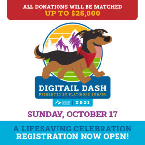 HSBV Digitail Dash - Donations Matched Image