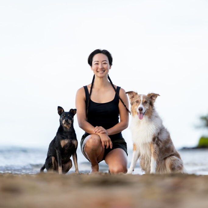 Akamai Dog Training Akamai Dog Training